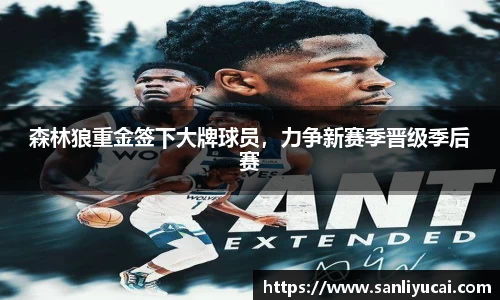 森林狼重金签下大牌球员，力争新赛季晋级季后赛