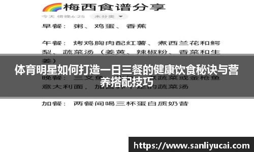体育明星如何打造一日三餐的健康饮食秘诀与营养搭配技巧
