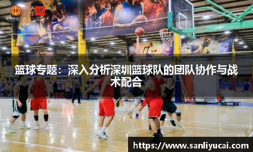 篮球专题：深入分析深圳篮球队的团队协作与战术配合
