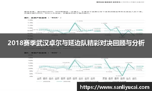 2018赛季武汉卓尔与延边队精彩对决回顾与分析